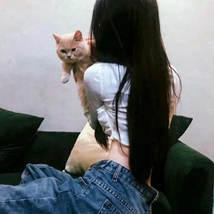 说唱王戴夫第三季